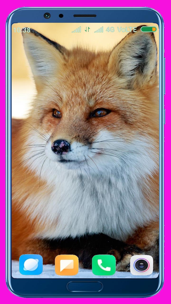 Fox Wallpaper Best 4k For Android Apk Download Fox Wallpaper Best 4k For Android Apk Download