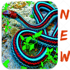 Snakes Free, Images and Wallpapers icon