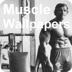 Muscle biểu tượng
