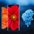 Flowers Gallery
