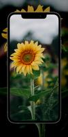 Wallpapers 4K & HD Background Plakat