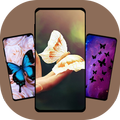 Butterfly Wallpaper
