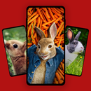 papier peint lapin APK