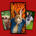 Rabbit Wallpaper icon