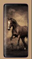 Wallpaper Kuda HD Terbaik 스크린샷 1