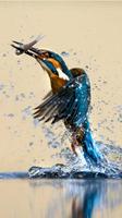 پوستر Cool Wallpapers