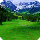 Landscape Wallpaper APK