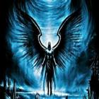 Tema Wallpaper HP keren simgesi