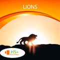 Lions Wallpaper