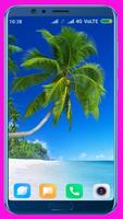 Palm Tree HD  Wallpaper screenshot 1