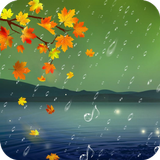 Rain HD Wallpaper Zeichen