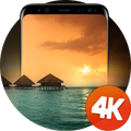 Tropikal duvar kağıtları 4k
