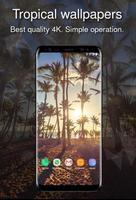 Tropical wallpapers 4k penulis hantaran
