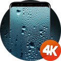 Hình nền ướt 4K