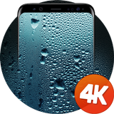 Wet wallpaper 4K icon