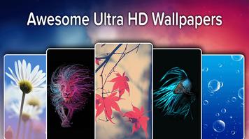 4K Wallpapers - 500000+ HD Wal 截图 2
