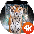 Animals wallpapers 4K