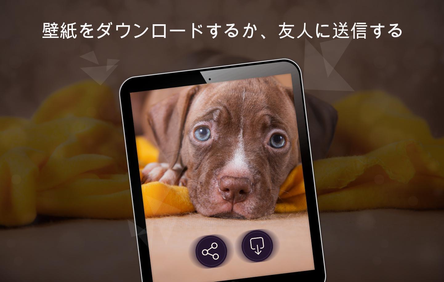 Android 用の 動物の壁紙4k Apk をダウンロード