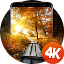 Осенние обои 4k APK