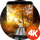Autumn wallpapers 4k icon