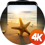 Sahil duvar kağıtları 4k simgesi