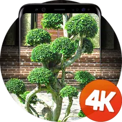 盆景壁紙4k APK 下載