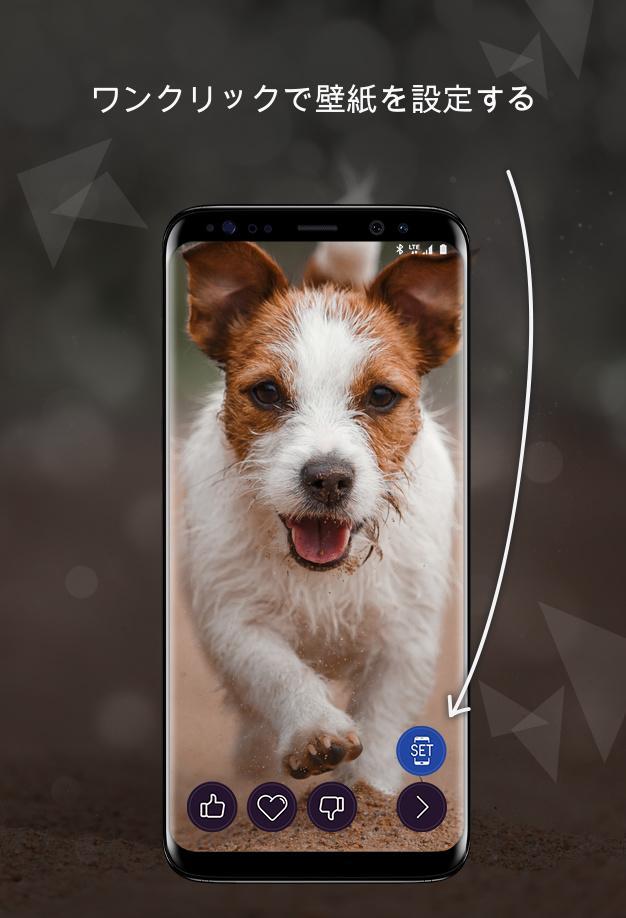 Android 用の 犬の壁紙4k Apk をダウンロード