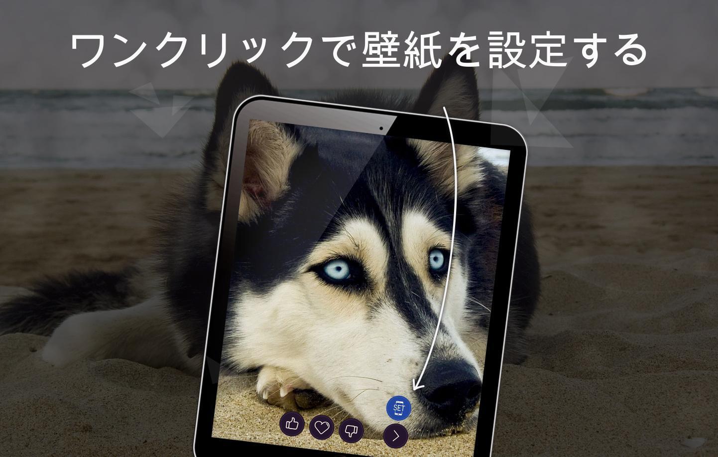 Android 用の 犬の壁紙4k Apk をダウンロード