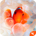 Fish Wallpaper icon