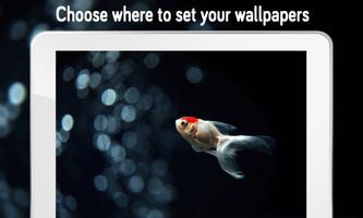 Fish Wallpaper screenshot 1