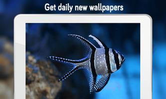 Fish Wallpaper screenshot 3