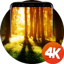 Лесные обои 4k APK