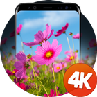 花の壁紙4K アイコン