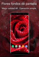 Flores fondos de pantalla 4k Poster