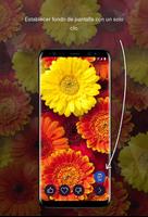 Flores fondos de pantalla 4k captura de pantalla 1