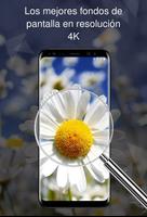 Flores fondos de pantalla 4k captura de pantalla 2