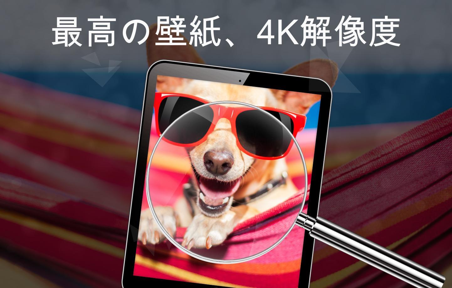 Android 用の 面白い壁紙4k Apk をダウンロード