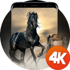 말의 배경 화면 4k 아이콘