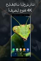 خلفيات الحشرات الملصق