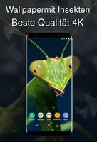 Wallpaper 4K mit Insekten Plakat