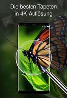 Wallpaper 4K mit Insekten Screenshot 2