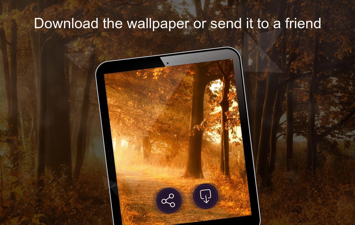 風景壁紙4k安卓下载 安卓版apk 免费下载