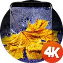 Leaves on the wallpaper 4K APK