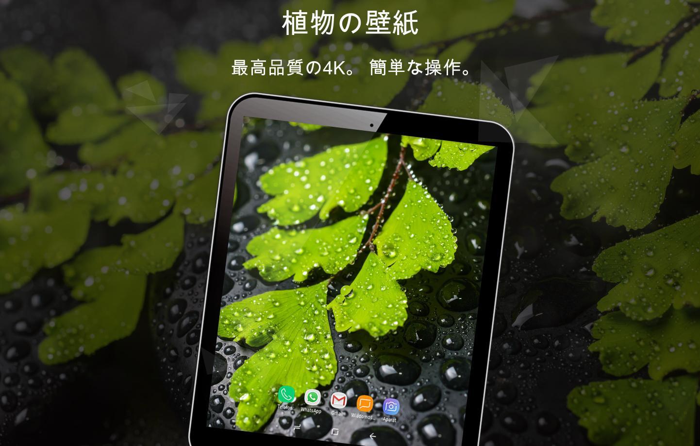 Android 用の 植物の壁紙4k Apk をダウンロード