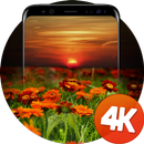 Обои для рабочего стола 4k APK