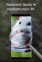 Słodkie zwierzęta 4k screenshot 2