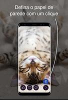 Animais doces 4k imagem de tela 1