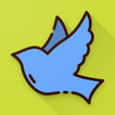Bird Wallpaper