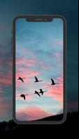 Bird Wallpaper captura de pantalla 3