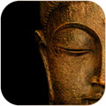 Buddha Wallpapers - Quotes Wallpapers